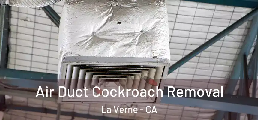 Air Duct Cockroach Removal La Verne - CA