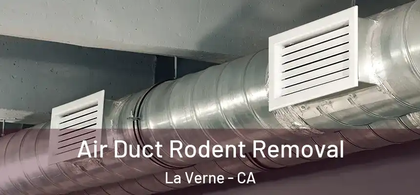 Air Duct Rodent Removal La Verne - CA