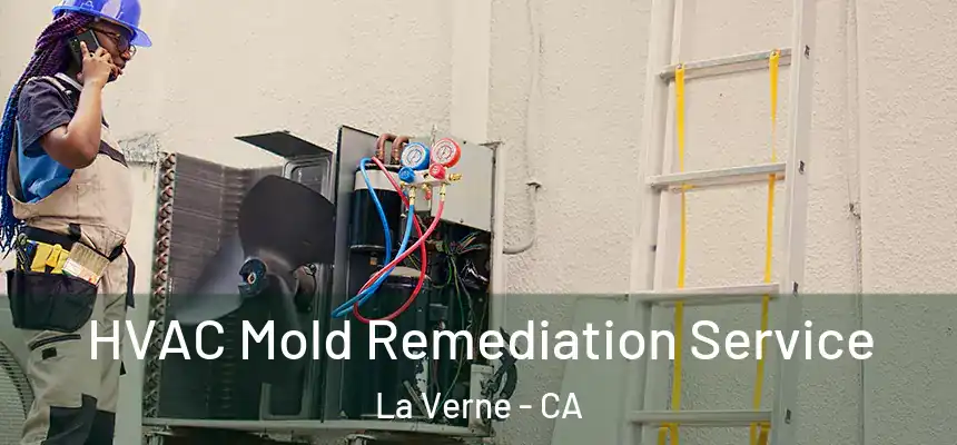 HVAC Mold Remediation Service La Verne - CA