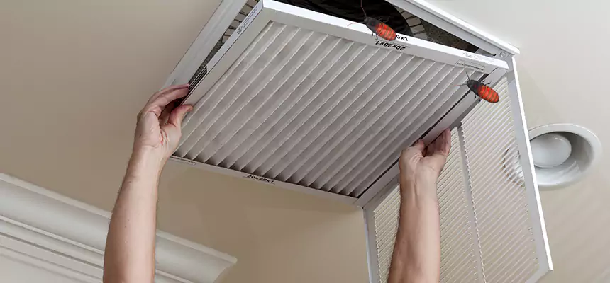 Preventive Cockroach-Proofing for Ducts in La Verne