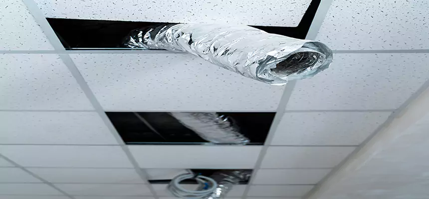 Affordable HVAC Sanitizing After Pest Removal in La Verne