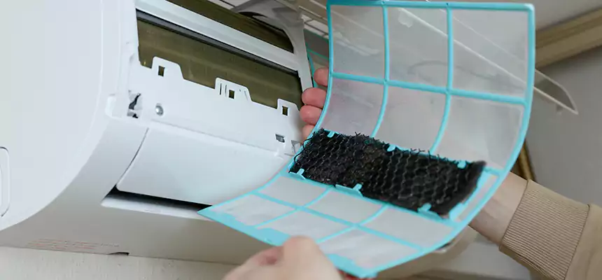 Gentle Ductwork Odor-Control Pet Dander Duct Cleaning in La Verne, CA