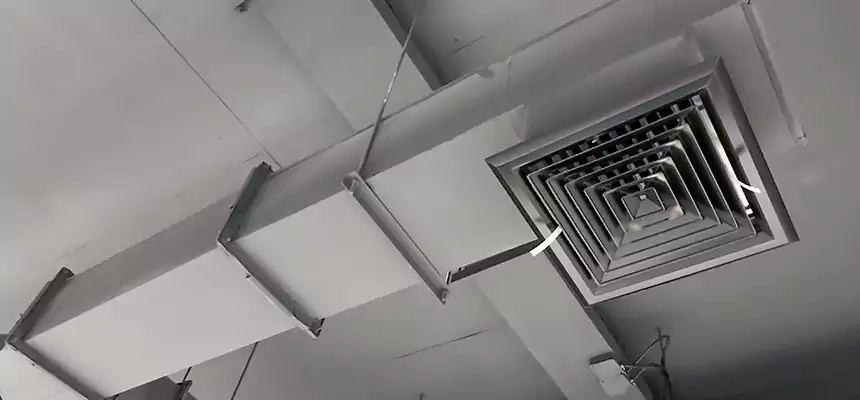 Our Rodent Droppings In Vents Services in La Verne, CA