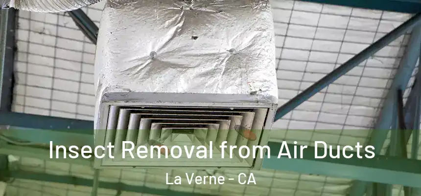 Insect Removal from Air Ducts La Verne - CA