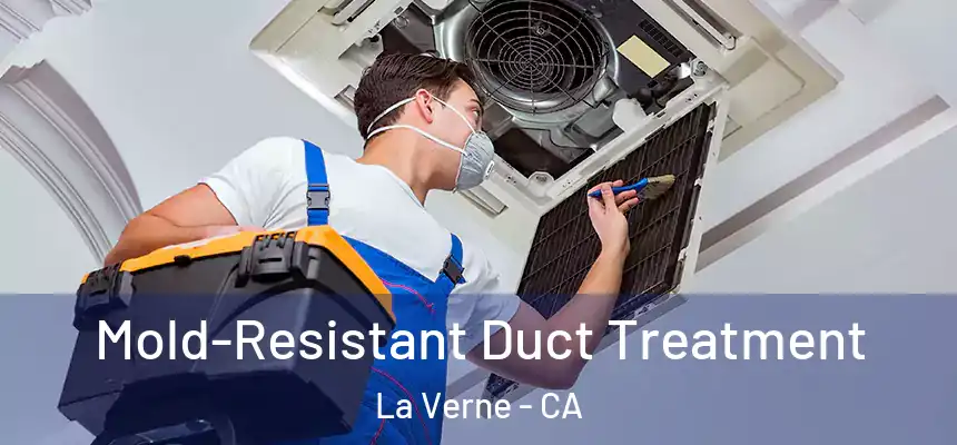  Mold-Resistant Duct Treatment La Verne - CA