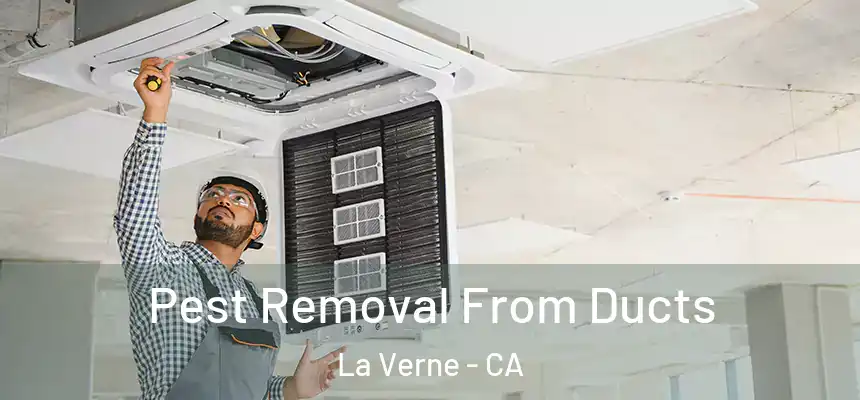 Pest Removal From Ducts La Verne - CA