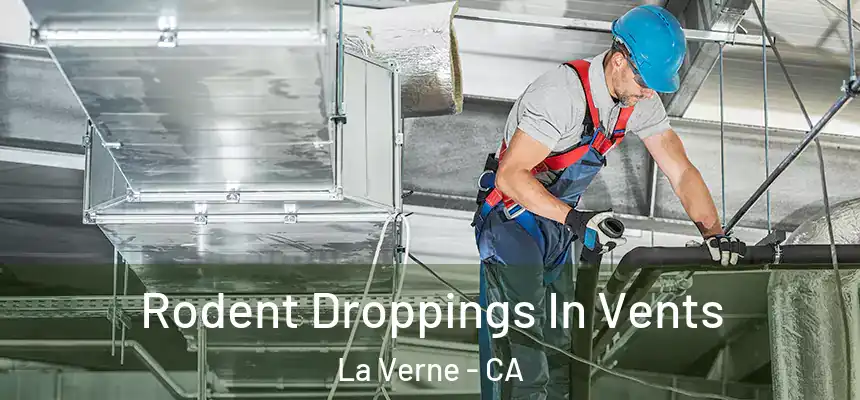 Rodent Droppings In Vents La Verne - CA