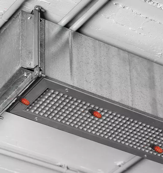 About Air Duct Cockroach Removal in La Verne, CA
