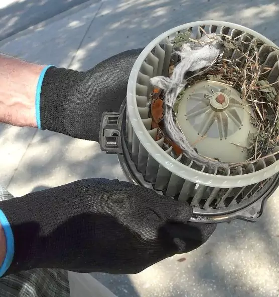 About Air Duct Mice Removal in La Verne, CA