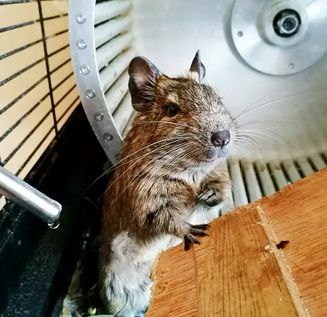 Why Homeowners & Businesses Trust Us La Verne, CA?