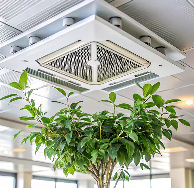 Why Homeowners & Businesses Trust Us in La Verne, CA?